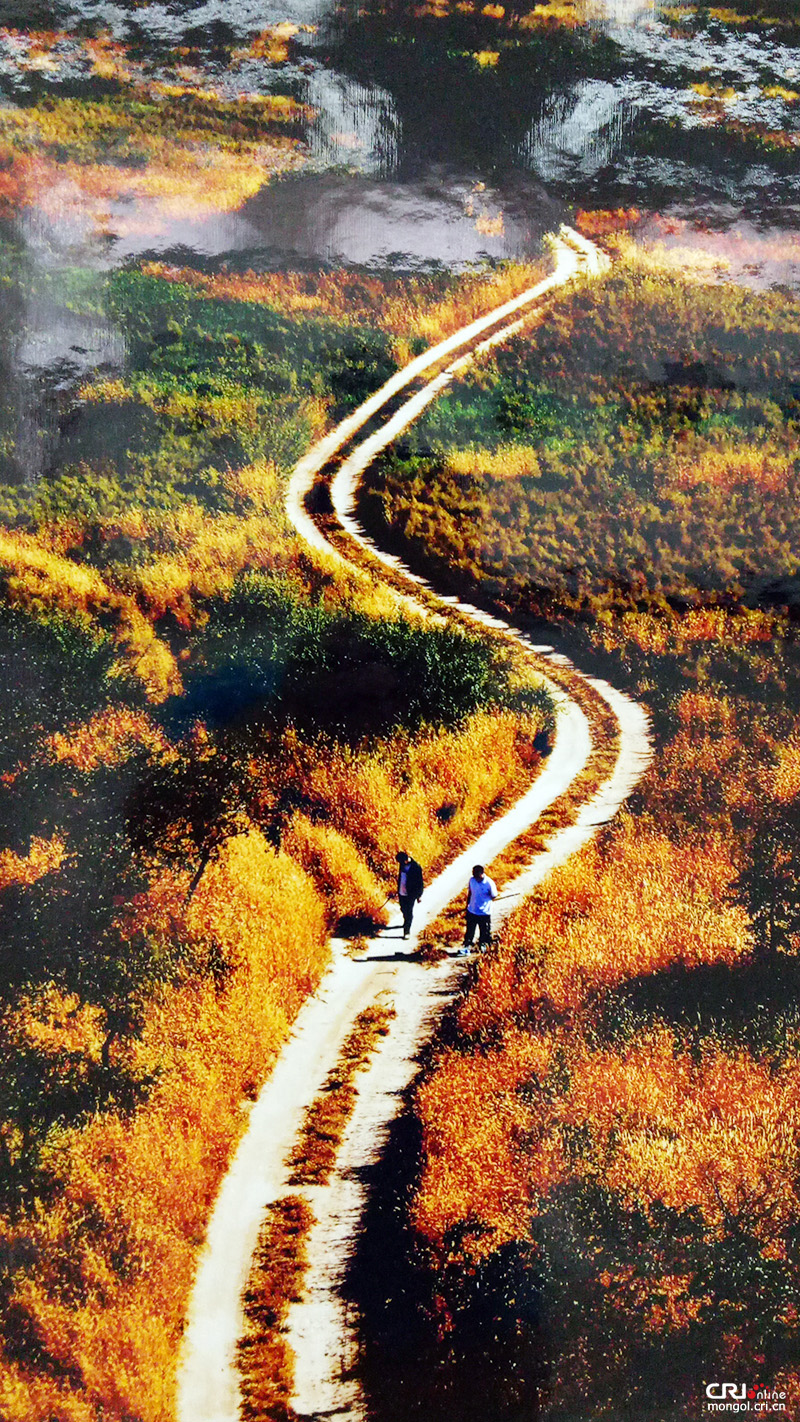 Өвөр Монголын 70 жилийн  ойд зориулсан фото зургийн үзэсгэлэн нээгдэв